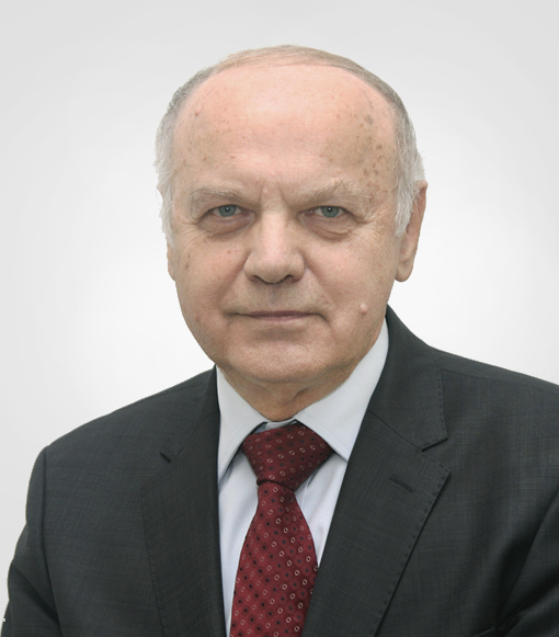 Prof. dr hab. dr multi h.c. inż. Tadeusz Szulc